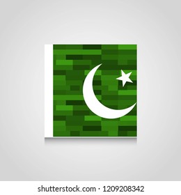 Pakistan flag with creative design vector