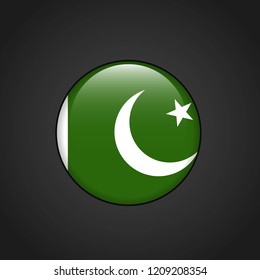 Pakistan flag with creative design vector