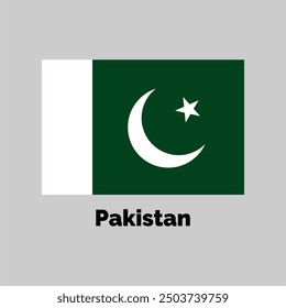 Pakistan flag design vector illustration on a gray background for graphic and web design.