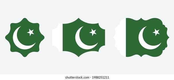 Pakistan flag. flat icon symbol vector illustration