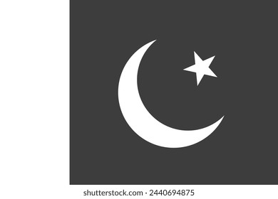 Pakistan flag - greyscale monochrome vector illustration. Flag in black and white