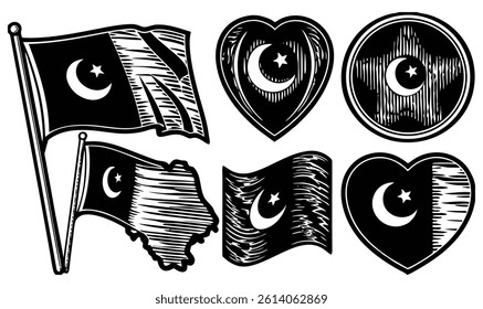 "Pakistan Flag Icon Set in Heart, Star, Map and Waving Styles"