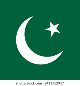 Pakistan flag. Flag icon. Standard color. A square flag. Square icon. Computer illustration. Digital illustration. Vector illustration.