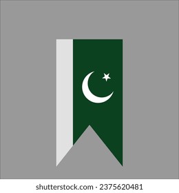Pakistan flag icon vector illustration