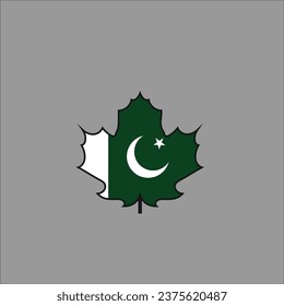 Pakistan flag icon vector illustration