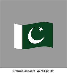 Pakistan flag icon vector illustration