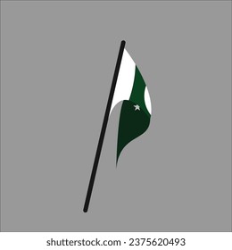 Pakistan flag icon vector illustration