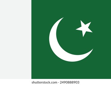Pakistan flag isolated on white background . National flag of Pakistan . Vector illustration