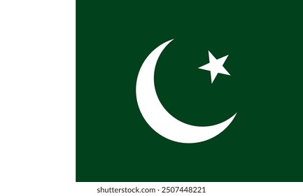 pakistan flag national material design
