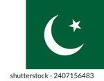 Pakistan flag. The official ratio. Flag icon. Standard color. Standard size. A rectangular flag. Computer illustration. Digital illustration. Vector illustration.