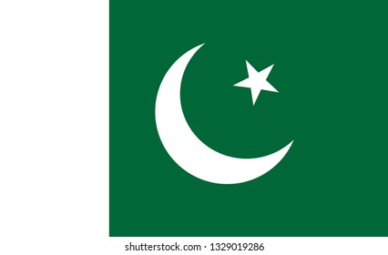 Pakistan  flag. Simple vector Pakistan  flag