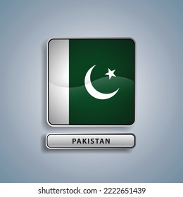 Pakistan flag square button vector illustration