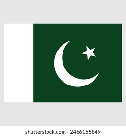 Pakistan Flag Vector Design | Eps File | vector flag design