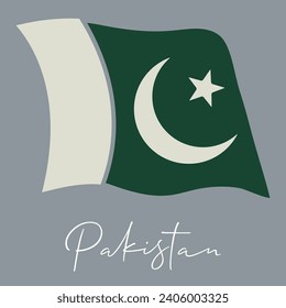 pakistanische Flagge, Vektorgrafik unter der Flagge Pakistans