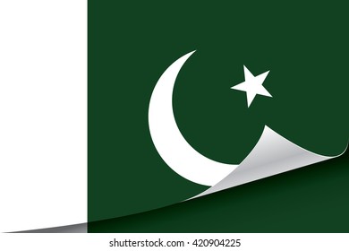 Pakistan flag vector illustration.