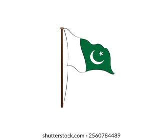 pakistan Flag vector illustration isolated on white 