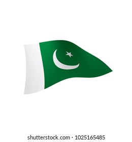 Pakistan flag, vector illustration on a white background