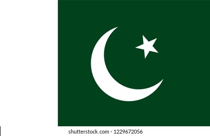 Pakistan Flag, Vector image and icon