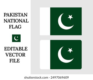 Pakistan flag vector. The official ratio. Flag icon. Standard color. Standard size. A rectangular flag. Computer illustration. Digital illustration.