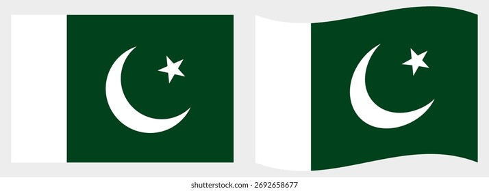 Pakistan flag wave and flat vector Illustration
Vector flag