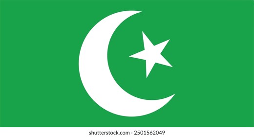 Pakistan flag.simple flat flag.art illustrator.big flag.banner.vector.poster. independence day