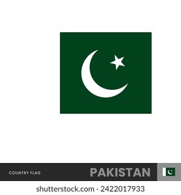 Pakistan national Flag vector illustration