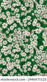 Pakistani All Over Design- Seamless Pattern