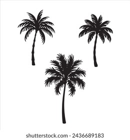 Palam tree silhouettes. with fully editable