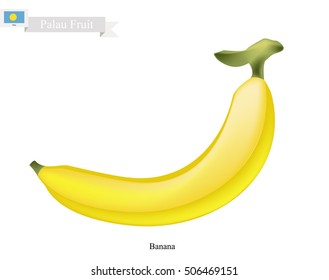 Palau Fruit, Illustration of Golden Banana. One of The Most Popular Fruits in Palau.