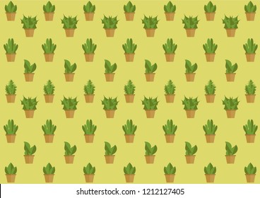Pale backdrop of potted succulent plants