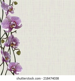 Pale background with purple orchid flowers, stems and buds 