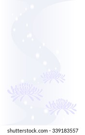 Pale blue chrysanthemum