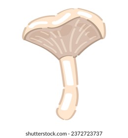 Pale chanterelle on white background