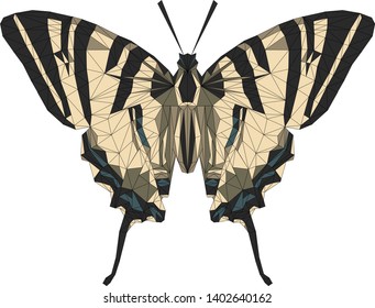 Pale Clouded Yellow Butterfly in a symmetrical geodesic design