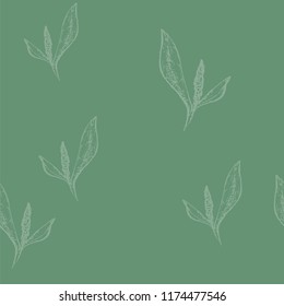 pale green color of the background, a flower with a leaf in the spread throughout the canvas, graphics, a pattern, suitable for the design of books, postcards, rlsters, sites, wrapping paper