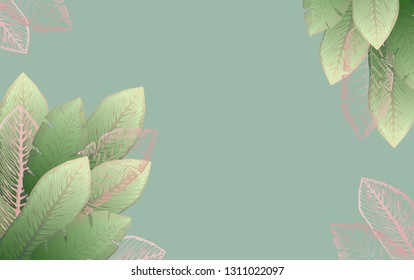 Pale green rectangular background with bright and shiny pink tropical banana leaves. Summer exotic leaf frame for birthday greeting cards, banner design, wedding decoration, eco events