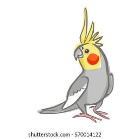 Pale Grey Cockatiel Vector Illustration