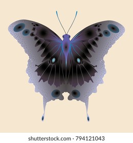 pale purple butterfly on beige background