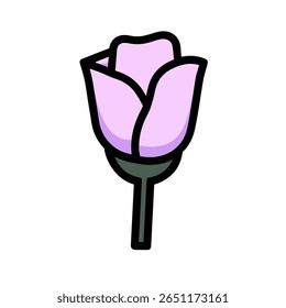Pale rose bud blooms single isolated floral illustration