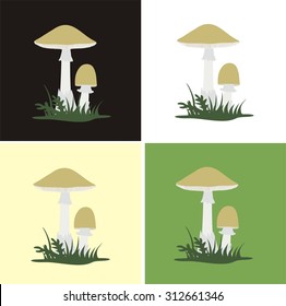 Pale toadstool isolated on a white, black and colored backgrounds