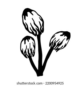 Pale toadstool mushroom.Botanical sketch.Vector graphics.