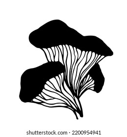 Pale toadstool mushroom.Botanical sketch.Vector graphics.