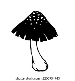 Pale toadstool mushroom.Botanical sketch.Vector graphics.