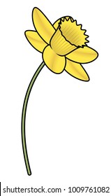 A pale yellow daffodil.
