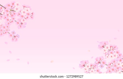 Pale-colored cherry background material 02