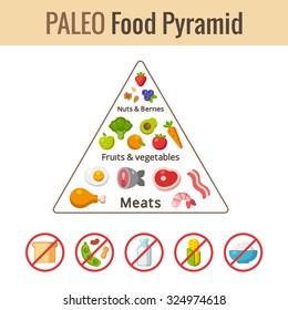 Paleo food pyramid chart. Nutrition and diet infographics. Vector illustration.