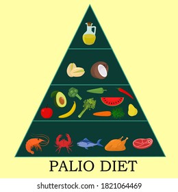 Paleo food pyramid. Nutrition and diet infographics