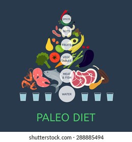 Paleolithic Diet Pyramid. Infographic About Healthy Food.