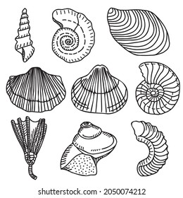 Paleontological icons, Vector brachiopods, nautilus, sea lilies, marine gastropods, cephalopods.