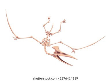 Paleontological museum interior element. Prehistoric dinosaur skeleton. Fossils and archaeological discoveries. Historical artefacts. Vector science